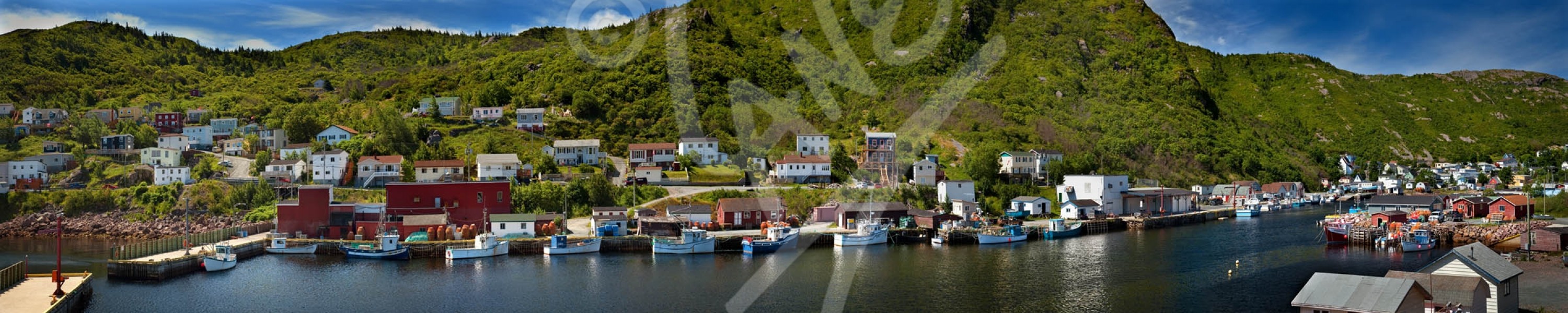 Petty Harbour, south side